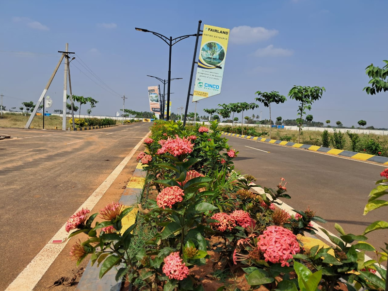 land for sale